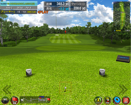 Golf Swing Better Prizm